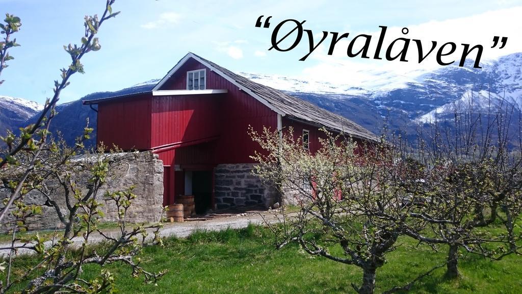 Dalsoren Camping Og Hytter Luster Zewnętrze zdjęcie