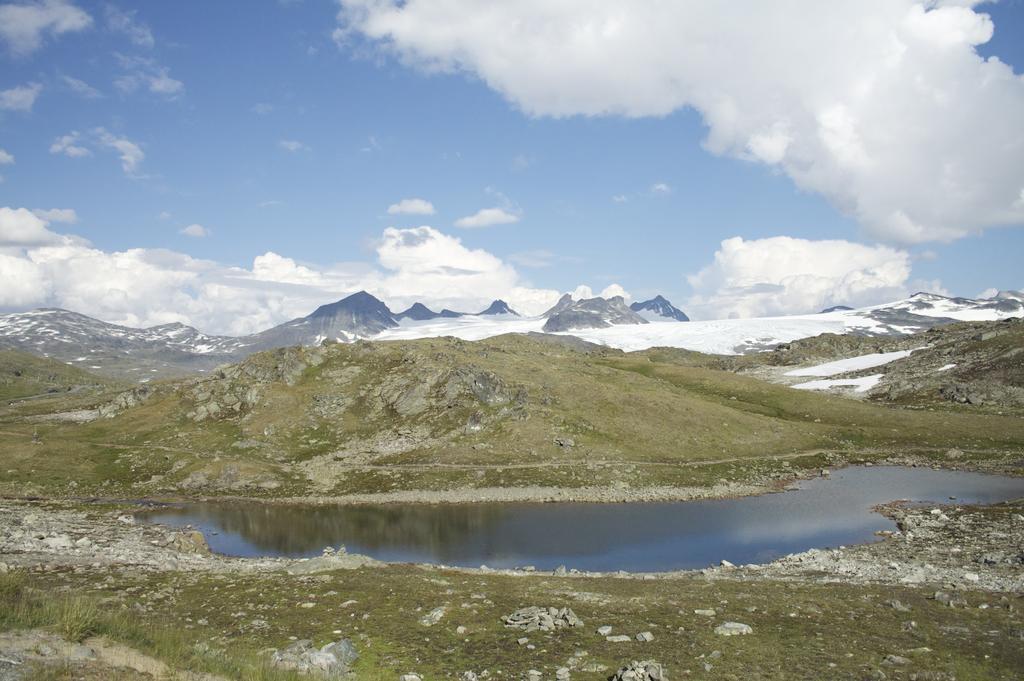 Dalsoren Camping Og Hytter Luster Zewnętrze zdjęcie